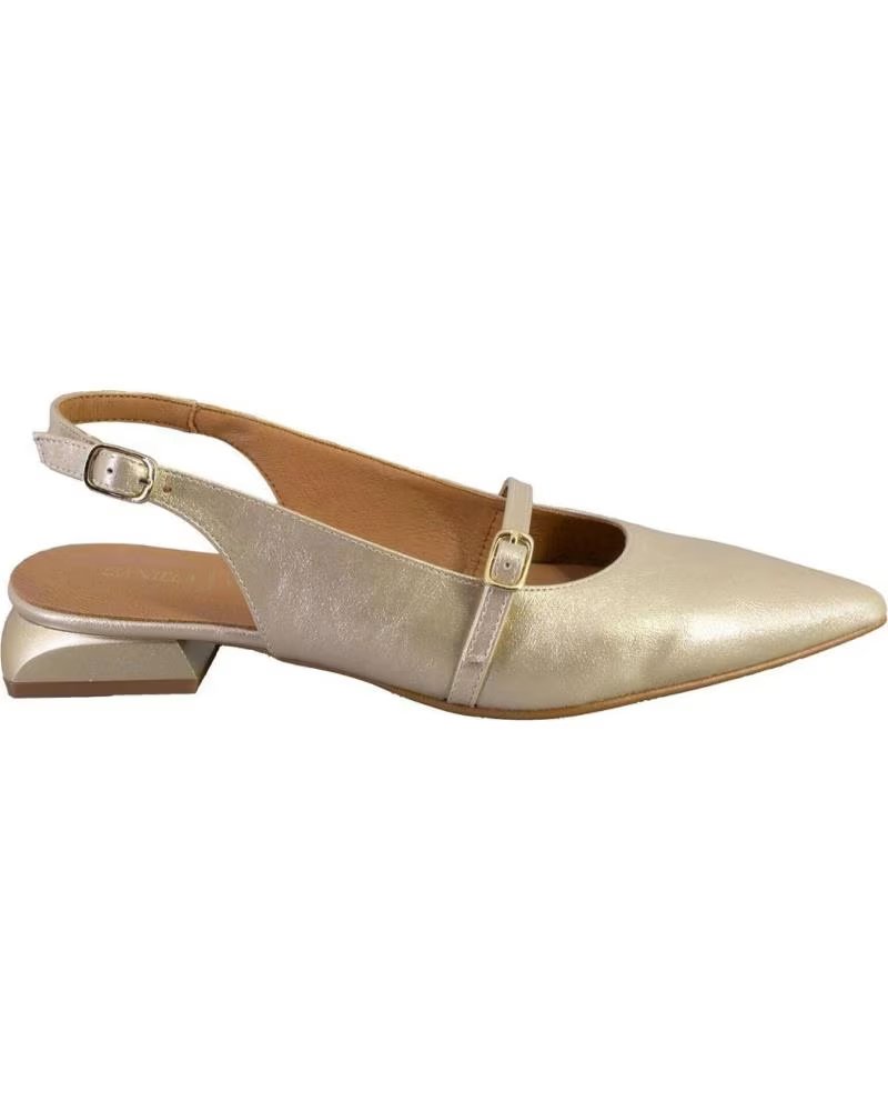Sapatos de Mulher DANIELA VEGA 2452 ZAPATOS DE MUJER PLATINO PLATINO