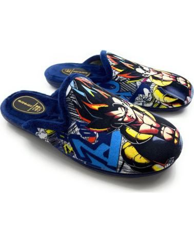 boy House slipers CHIC VISION ZAPATILLAS NINO CADETE ALCALDE DRAGON AZUL