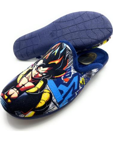 boy House slipers CHIC VISION ZAPATILLAS NINO CADETE ALCALDE DRAGON AZUL