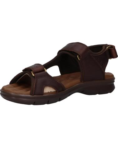 Sandalias de Hombre panama jack SALTON C35 NAPA GRASS MARRON - BROWN