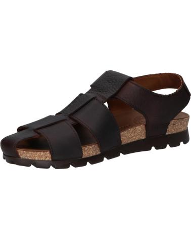 Zapatos de Hombre panama jack ZAPATO MARRON