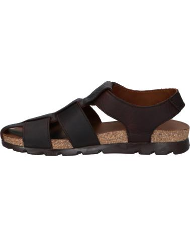 Zapatos de Hombre panama jack ZAPATO MARRON