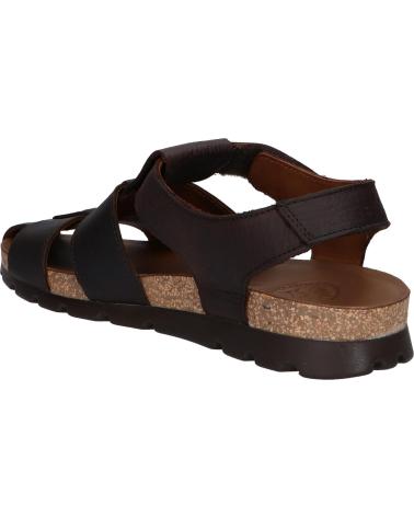 Zapatos de Hombre panama jack ZAPATO MARRON