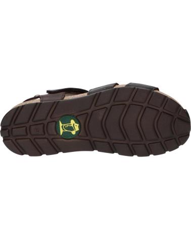 Zapatos de Hombre panama jack ZAPATO MARRON