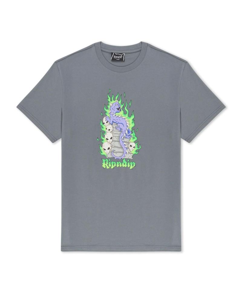 T-SHIRT RIPNDIP HORMTAIL CARVÃO MULTICOLOR MULTICOLOR