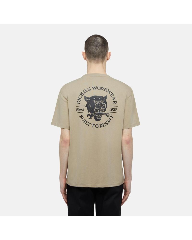 Accueil-DICKIES-TEXTIL-EN-COLOR-PARA-HOMBRE-BEIG