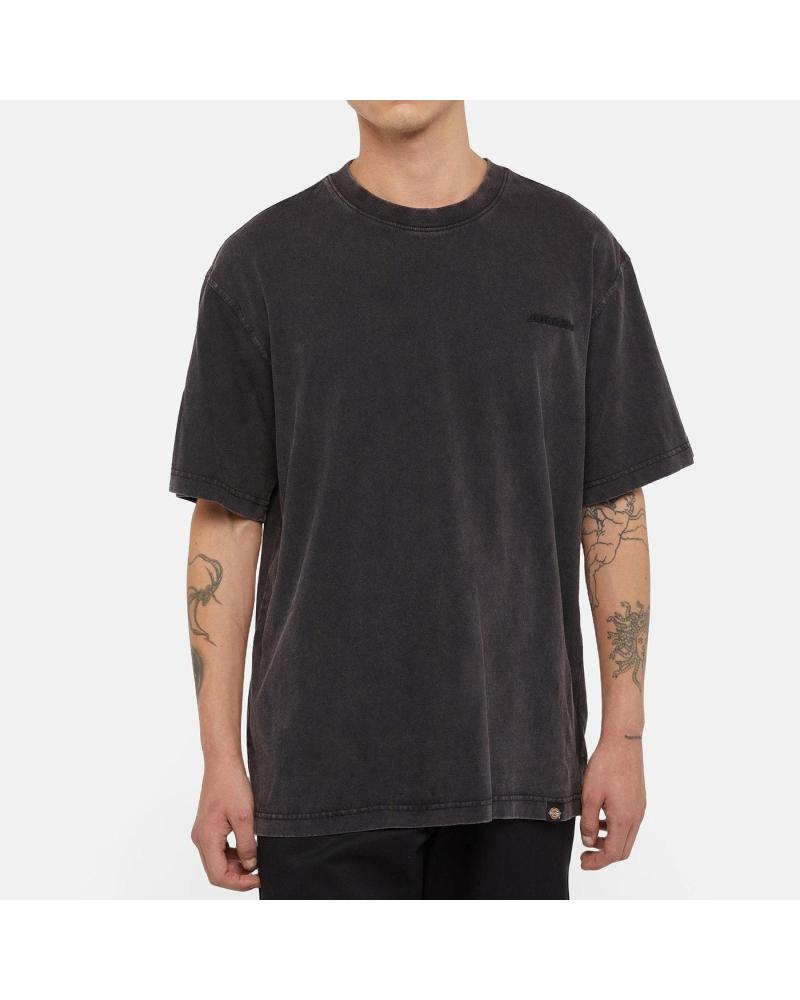 DICKIES CAMISETA PLENTYWOOD TEE SS DBLE DYE-A MULTICOLOR