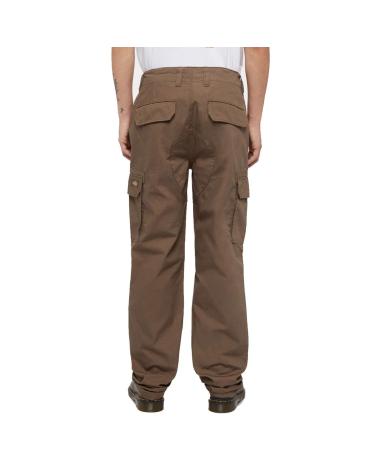 DICKIES MILLERVILLE MUSHROOM CARGO PANTS MULTICOLOR