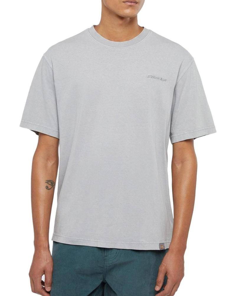 DICKIES CAMISETA PLENTYWOOD TEE SS ULTIMATE G MULTICOLOR
