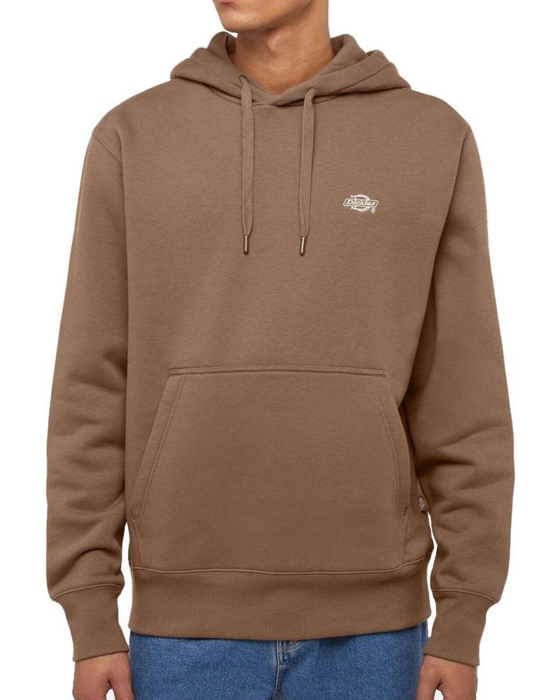 DICKIES SUDADERA SUMMERDALE HOODIE MUSHROOM MULTICOLOR
