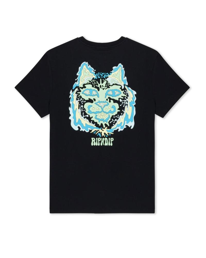 Camisetas-masculinas-RIPNDIP-CAMISETA-NERM-WAVE-TEE-BLACK-MULTICOLOR