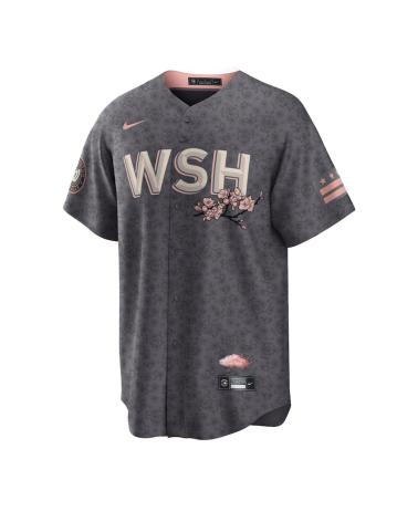 CAMISA DE BEISEBOL NIKE MLB RÉPLICA OFICIAL WASHINGTON CITY CONNECT MULTICOLOR MULTICOLOR