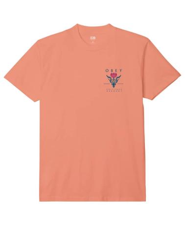 -OBEY-CAMISETA-CULTIVATE-HARMONY-CITRUS-MULTICOLOR