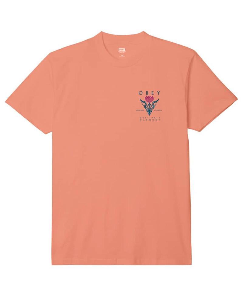 -OBEY-CAMISETA-CULTIVATE-HARMONY-CITRUS-MULTICOLOR