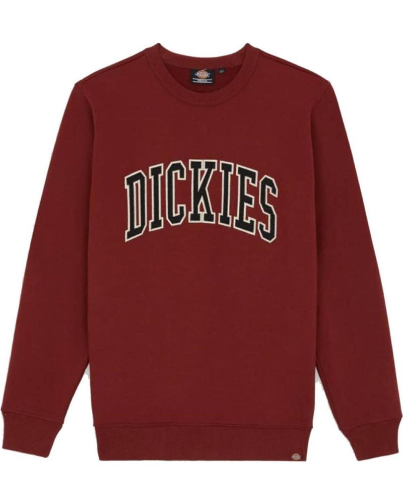 Inicio-DICKIES-SUDADERA-AITKIN-SWEATSHIRT-FIRED-BRI-MULTICOLOR