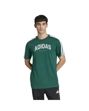 ADIDAS T-SHIRT COLLEG JJ3869 VERDE VERDE