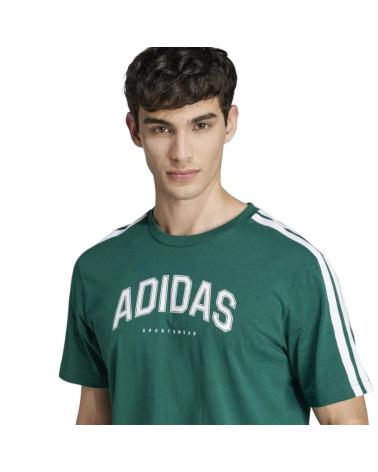 ADIDAS T-SHIRT COLLEG JJ3869 GRÜN VERDE