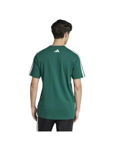 ADIDAS T-SHIRT COLLEG JJ3869 GRÜN VERDE