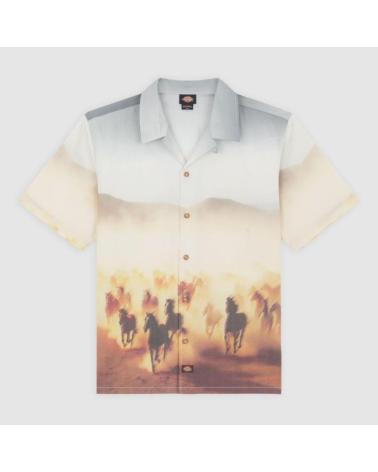 Home-DICKIES-CAMISAS-HOMBRE-MODELO-RUNNING-WILD-SHIRT-SS-COLOR-MULTICOLOR-K411