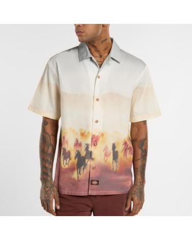Home-DICKIES-CAMISAS-HOMBRE-MODELO-RUNNING-WILD-SHIRT-SS-COLOR-MULTICOLOR-K411