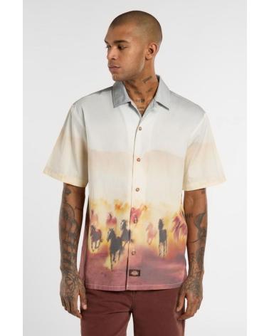 Inizio-DICKIES-CAMISAS-HOMBRE-MODELO-RUNNING-WILD-SHIRT-SS-COLOR-MULTICOLOR-K411