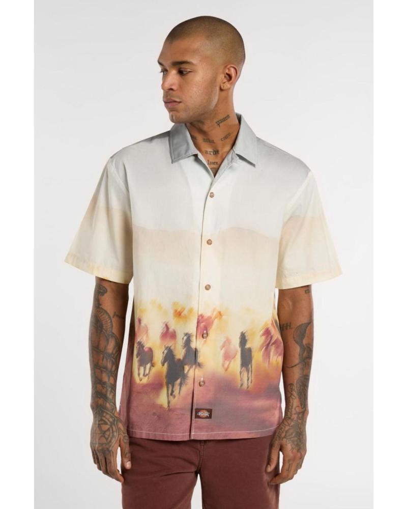 Home-DICKIES-CAMISAS-HOMBRE-MODELO-RUNNING-WILD-SHIRT-SS-COLOR-MULTICOLOR-K411