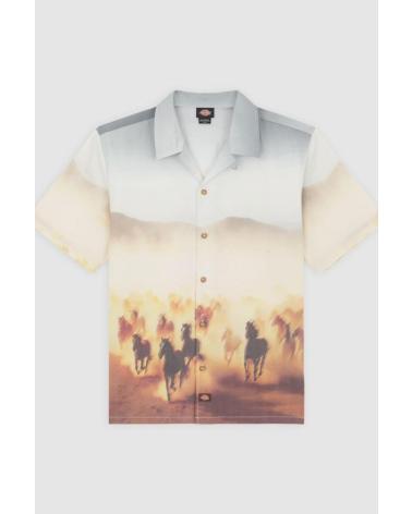 Home-DICKIES-CAMISAS-HOMBRE-MODELO-RUNNING-WILD-SHIRT-SS-COLOR-MULTICOLOR-K411