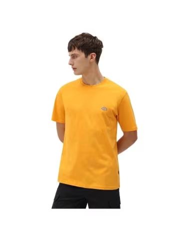 DICKIES MAPLETON T-SHIRT EN COLOR PARA HOMBRE NARANJA