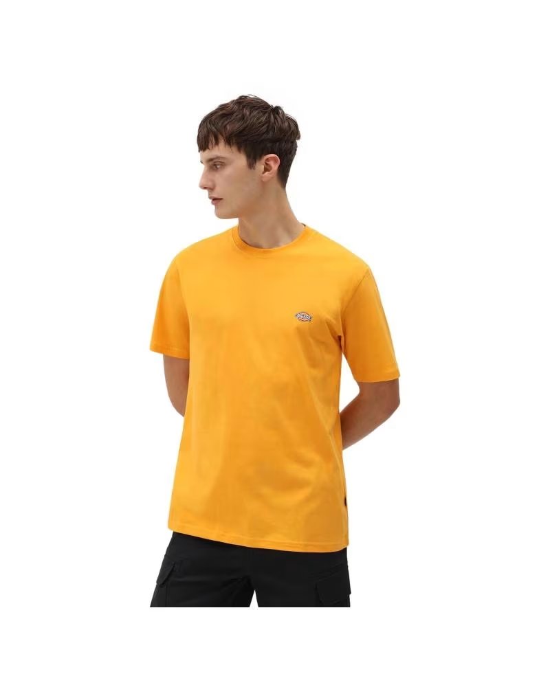 DICKIES MAPLETON T-SHIRT EN COLOR PARA HOMBRE NARANJA