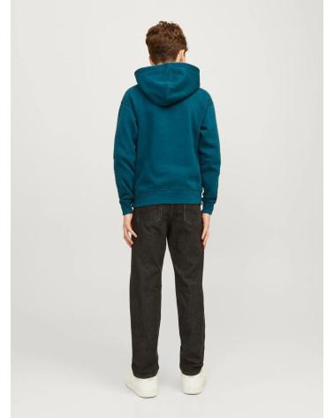 FELPA CON CAPPUCCIO JACK & JONES 12237468 VERDE PER RAGAZZO VERDE