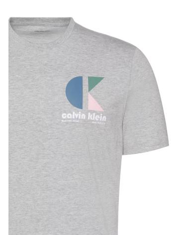 CALVIN KLEIN CK BH LOGO GRAPHIC TEE GREY GRIS