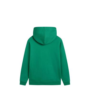 VANS OFF THE WALL GRAFFITI HOODED SWEATSHIRT GREEN - VN000JC0J5F VERDE
