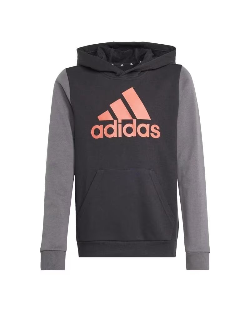 ADIDAS ESSENTIALS BIG LOGO COLORBLOCK VARIOS COLORES