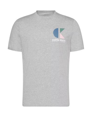 CALVIN KLEIN CK BH LOGO GRAPHIC TEE GREY GRIS