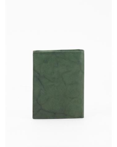 Inizio-KESLEM-CARTERA-H02-VERDE