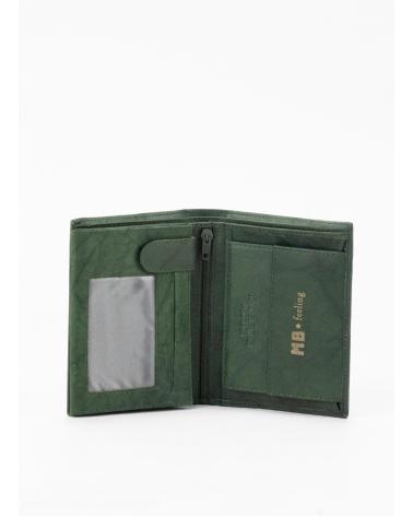 Inizio-KESLEM-CARTERA-H02-VERDE