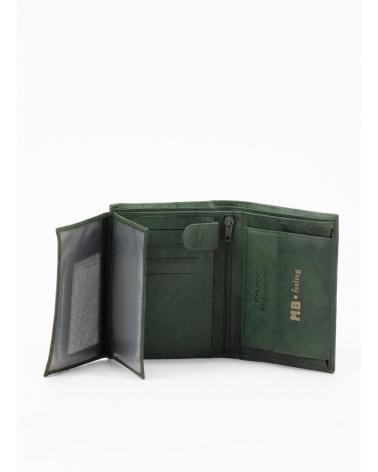 Inizio-KESLEM-CARTERA-H02-VERDE