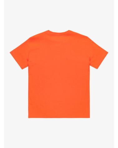 Início-QUIKSILVER-CAMISETA-MANGA-CORTA-EQBZT04850-NARANJA