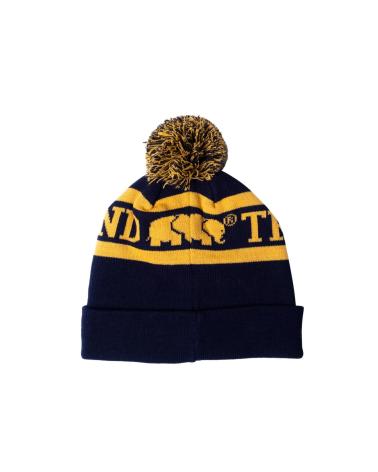 TRENDSPLANTS COLLEGE BEANIE NAVY 027070UNBB - BONNET EN TRICOT BLEU MARINE AZUL MARINO