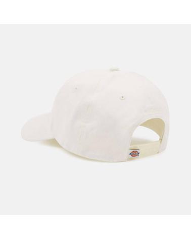 DICKIES HARDWICK CLOUD CAP MULTICOLOR