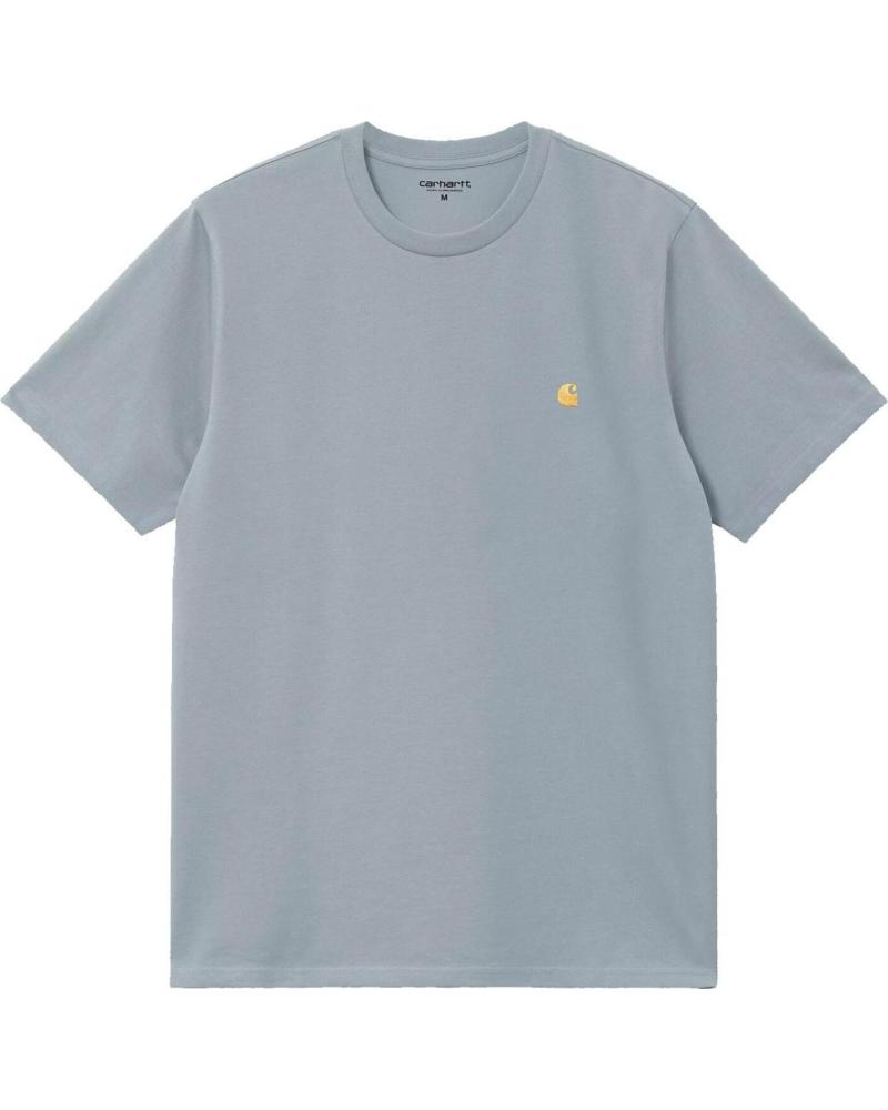 CARHARTT S-S CHASE T-SHIRT FROSTED B MULTICOLOR