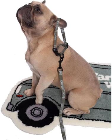 COLEIRA E TRELA CARHARTT TOUR DOG LEASH VERDE VERDE