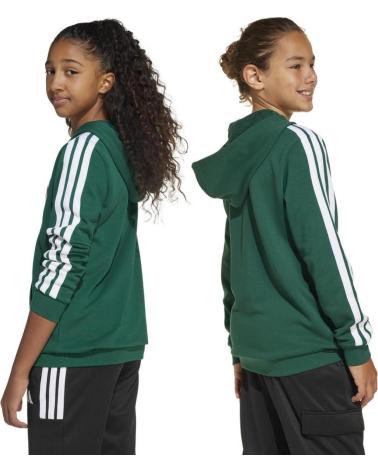 FELPA CON CAPPUCCIO ADIDAS CODES COLLEGIATE GRAPHIC JM7358 VERDE VERDE