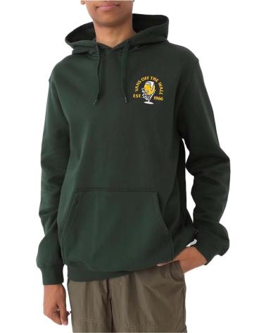 VANS OFF THE WALL GRAPHIC HOODIE GREEN VERDE