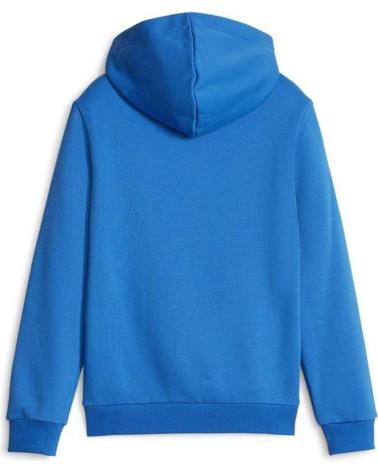 PUMA ESS BIG LOGO KAPUZENPULLOVER BLAU MULTICOLOR
