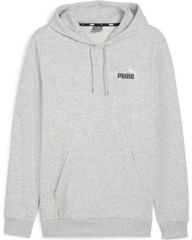 SWEAT À CAPUCHE PUMA ESS SMALL LOGO GRIS GRIS