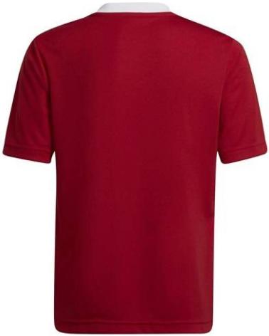 Inizio-ADIDAS-CAMISETA-NINO-ROJO