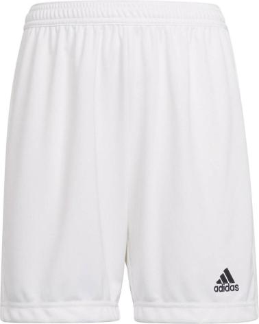 Home-ADIDAS-PANTALON-CORTO-ENTRADA22-BLANCO