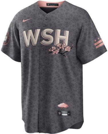 NIKE BEISBOLERA MLB REPLICA OFICIAL WASHINGTON NATIONALS CITY CON