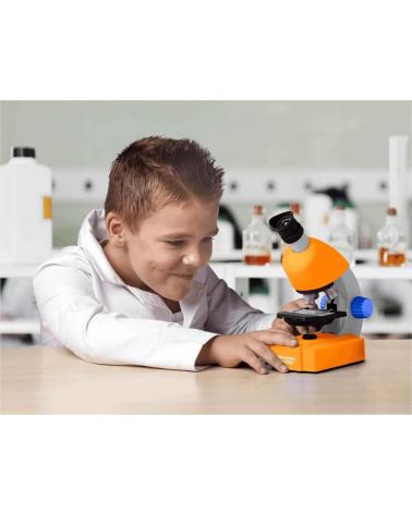 Figurines-d'action-et-figurines-jouets-pour-les-amateurs-de-sport-TOY-PLANET-OTROS-EN-COLOR-PARA-JUGUETES-MULTICOLOR